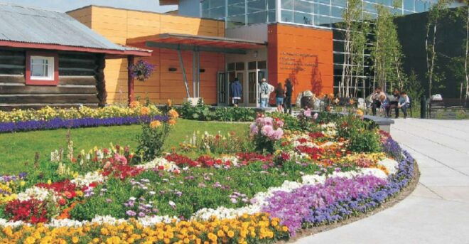 The Best of Fairbanks: Half-Day City Highlights Tour - Customer Reviews