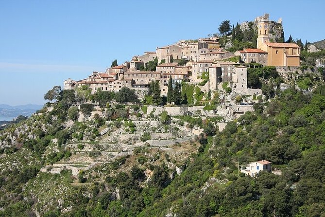 The Best of French Riviera Full-Day From Nice Small-Group Tour - Customer Feedback and Host Response