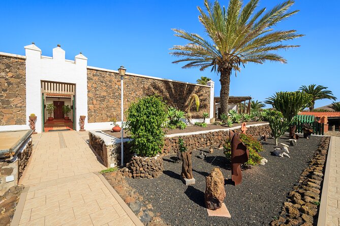 The Best of Fuerteventura Walking Tour - Scenic Routes for Exploring Fuerteventura on Foot