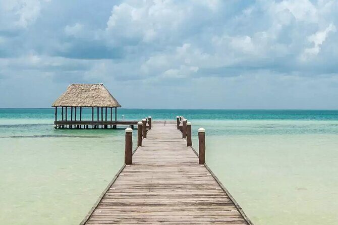 The Best of Holbox Bird Island, Passion Island and Yalahau Cenote - An In-Depth Look at the Tour Experience