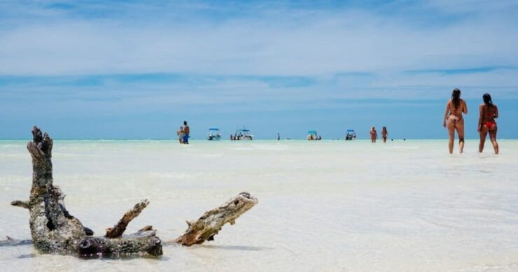 The Best of Holbox - Good To Know