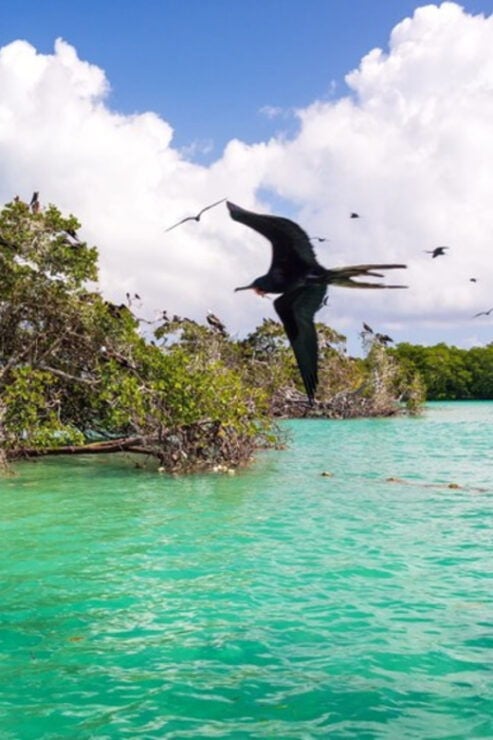 The Best of Holbox - Duration and Schedule