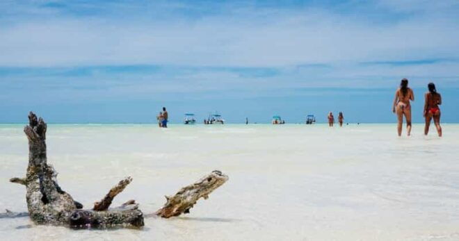 The Best of Holbox - Guided Experience