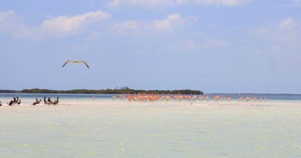 The Best of Holbox - Frequently Asked Questions