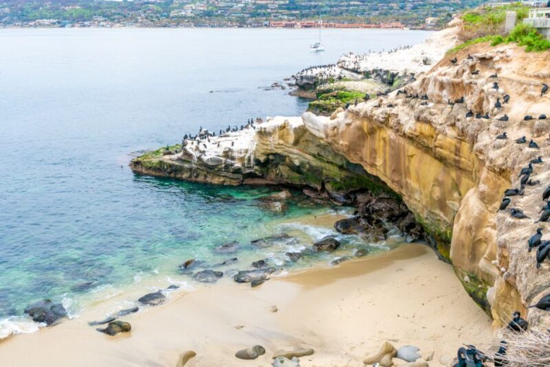 The Best of La Jolla Walking Tour - Sip, Savor & Sea - The Itinerary: What You Can Expect