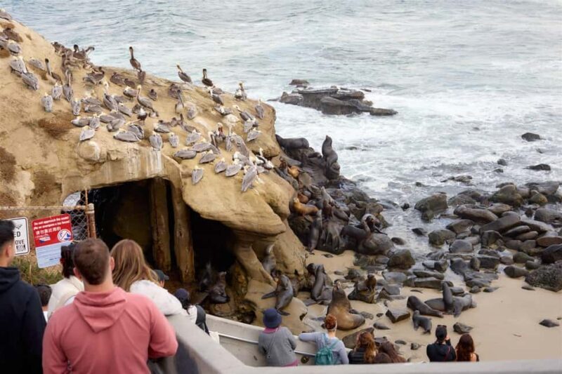 The Best of La Jolla Walking Tour - Sip, Savor & Sea - Practical Tips for Travelers
