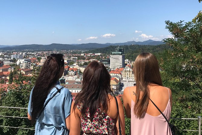 The Best of Ljubljana Walking Tour - Meeting Point Details