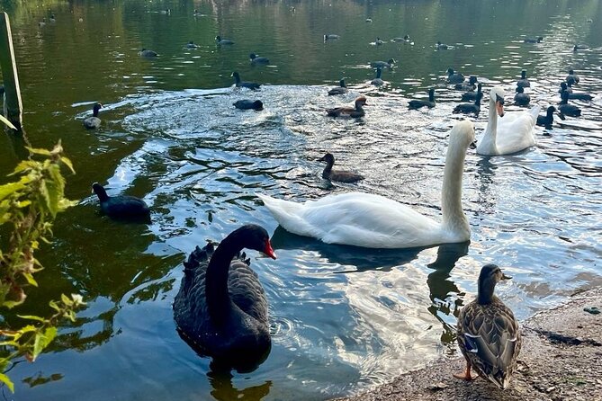 The Best of London Tour, Tower of London and Churchill War Rooms - Common Questions