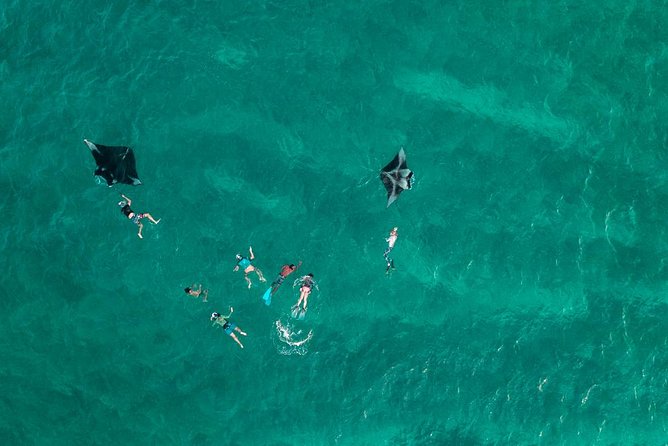 The Best Of Maldives For Solo Traveler - Inclusions: Safari Snorkeling, Speedboat Transfers, Accommodation, Meals