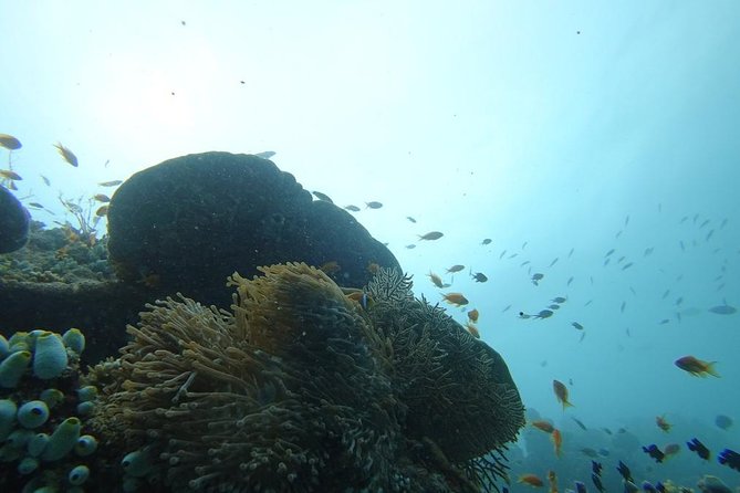 The Best Of Maldives For Solo Traveler - Price: From 0.00, Lowest Price Guarantee, Free Cancellation