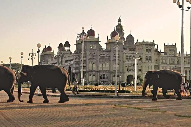 The Best of Mysore/Mysuru, Somnathpur & Srirangapatna in a Day - Local Cuisine Experiences