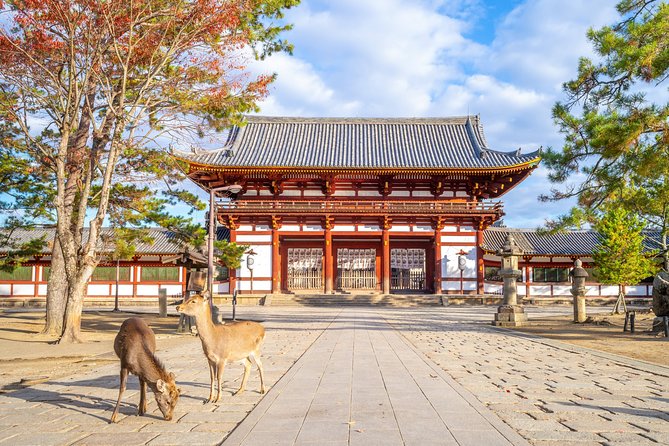The Best of Nara Walking Tour - Inclusions