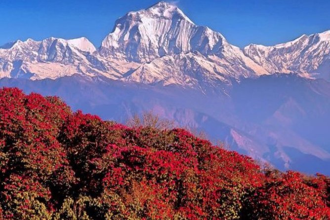The Best of Nepal : 5-Day Trek to Ghorepani Poon Hill & Ghandruk - Logistics
