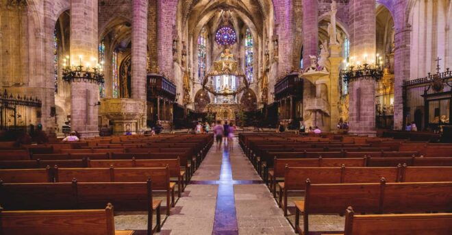 The Best of Palma: Boat Trip, Walking Tour and Cathedral - Meeting Point and Languages