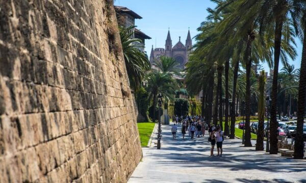 The Best of Palma: Boat Trip, Walking Tour and Cathedral - Explore Palmas Landmarks