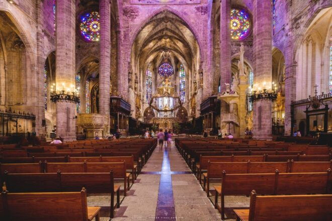 The Best of Palma: Boat Trip, Walking Tour and Cathedral - Experience Highlights