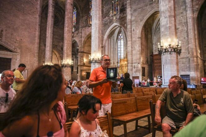 The Best of Palma: Boat Trip, Walking Tour and Cathedral - Itinerary Overview