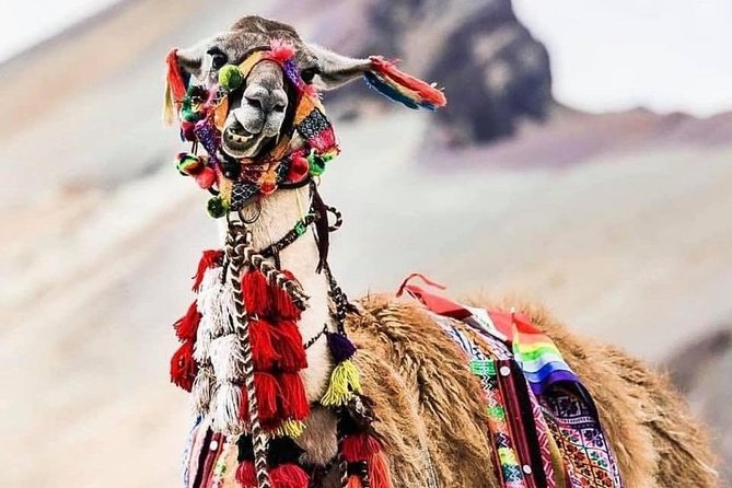 The Best of Rainbow Mountain- Full Day - Start Time and Duration