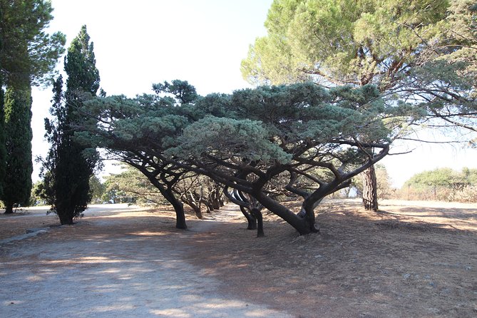 The Best of Rhodes & Lindos: Full Island Tour (Small Group) - Detailed Tour Itinerary