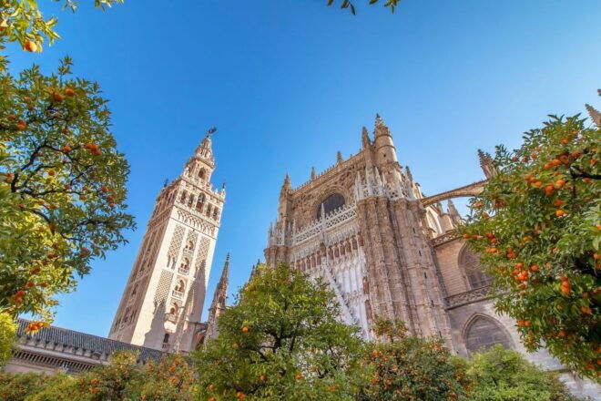 The Best of Sevilla From Madrid in One Day - Itinerary Details