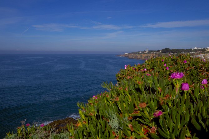 The Best of Sintra and Estoril Coast, Two Palaces and Pastry Tasting - Discovering Sintra National Palace