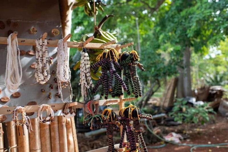 The Best of Siquijor Island Tour - Exploring Siquijor’s Mystical and Natural Treasures