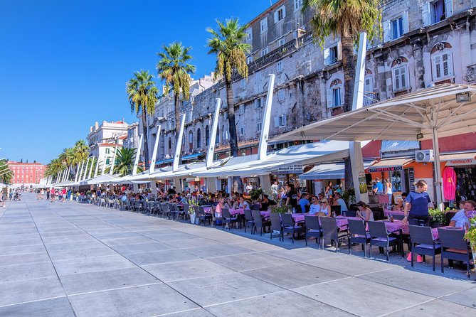 The Best of Split Private Tour - Accessibility Information