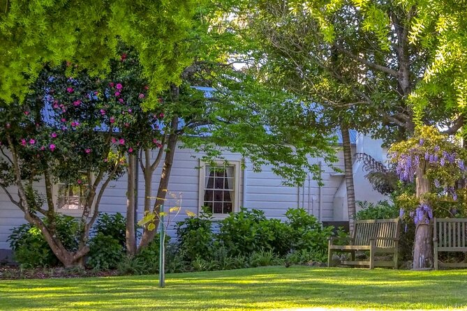 The Best of Tauranga Walking Tour - The Sum Up
