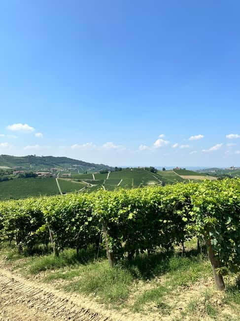 The Best of the Langhe: Wine Tasting & Traditional Meal - Who Should Consider This Tour?