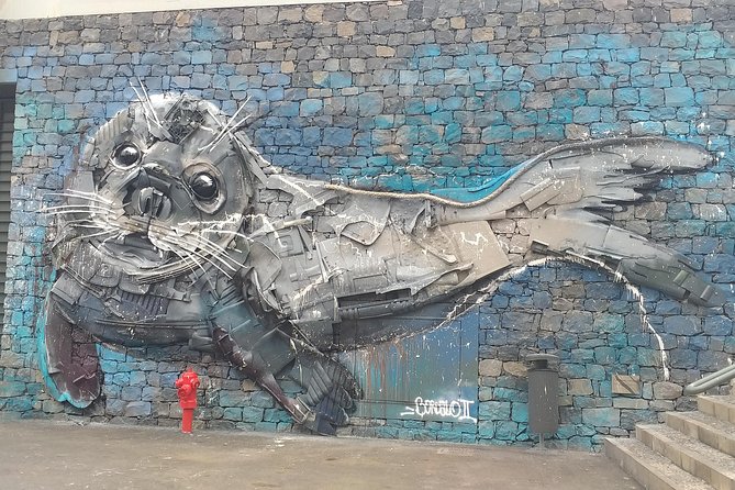 The Best of the West of Madeira - Visit the Traditional Fishing Village of Câmara De Lobos