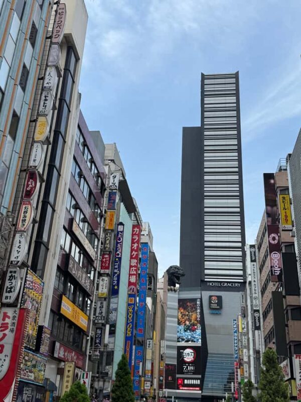 The best of Tokyo in one day  A cultural and spiritual tour - A Closer Look at the Itinerary