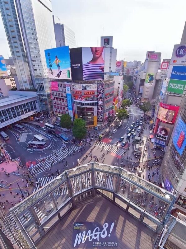 The best of Tokyo in one day  A cultural and spiritual tour - An Overview of the Itinerary