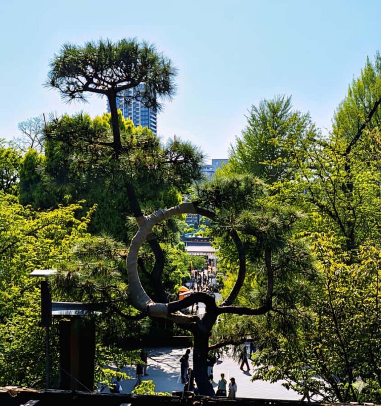 The best of Tokyo in one day  A cultural and spiritual tour - Final Thoughts