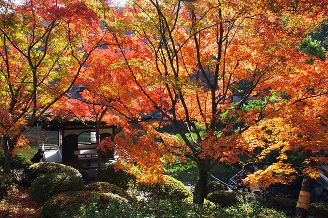 The Best of Wakayama City Private Tour - Itinerary Overview