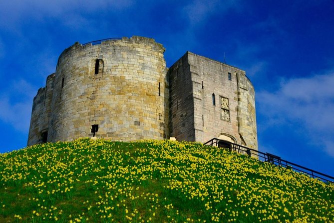The Best of York on Foot in a Small Group - Tour Guide Expertise and Feedback