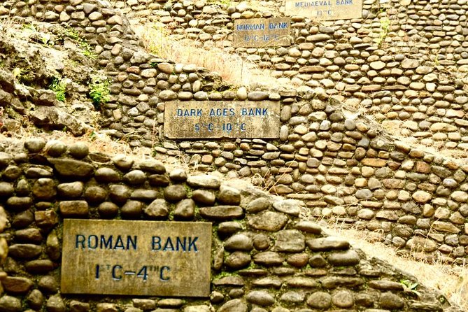 The Best of York on Foot in a Small Group - Whats Included and Traveler Tips
