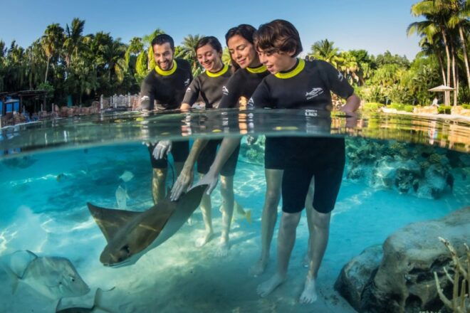 The BEST Orlando Tours and Things to Do - Water Activities and Wildlife Encounters