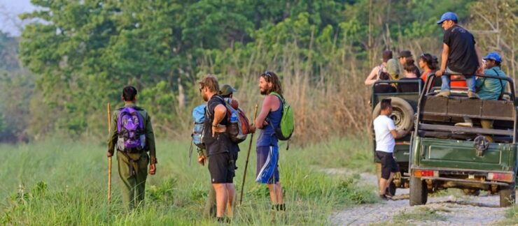 The BEST Pashchimanchal, Western Region Tours and Things to Do - Exciting Chitwan Safari Experiences