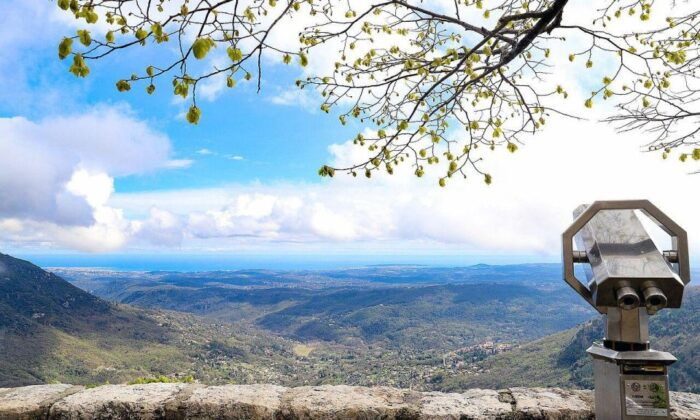 The Best Perched Villages of the French Riviera Private Tour - Practical Information for Tour Participants