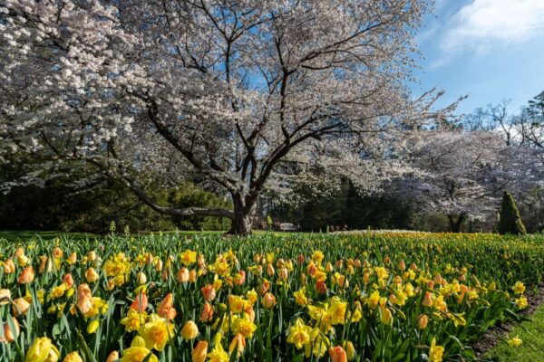 The BEST Philadelphia Tours and Things to Do - Secure Your Spots Today and Pay Later