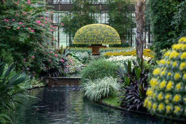 The BEST Philadelphia Tours and Things to Do - The Sum Up