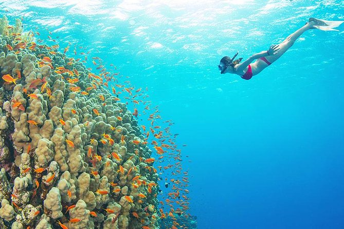 The Best Places Where to Snorkel and Dive - Good To Know