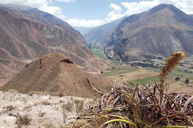 The Best Private Sacred Valley Tour - Traveler Feedback