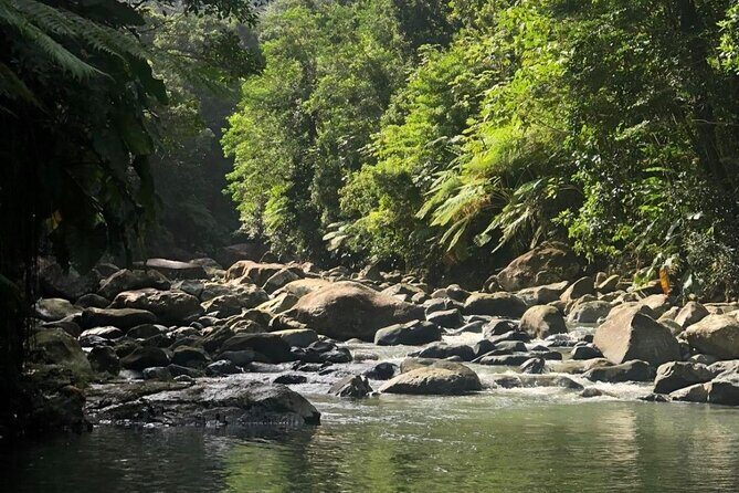 The Best Rainforest Experience in Puerto Rico - Good To Know