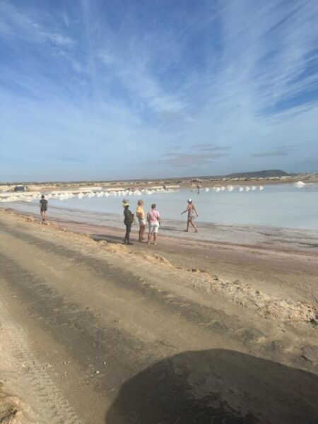 The Best Sal Island Private Tour - Tour Inclusions