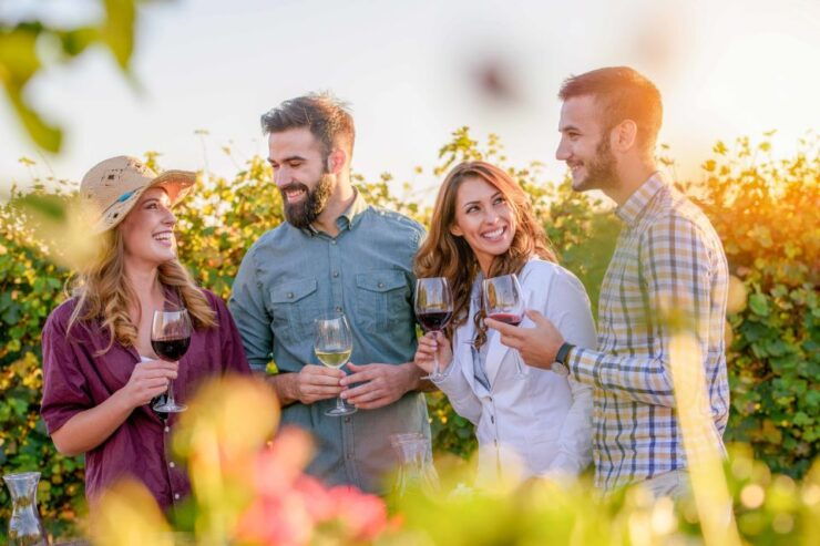 The BEST San Jose, California Tours - Top-Rated San Jose Tours