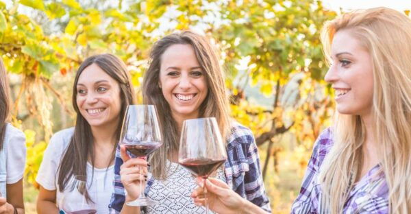 The BEST San Jose, California Tours - The Sum Up