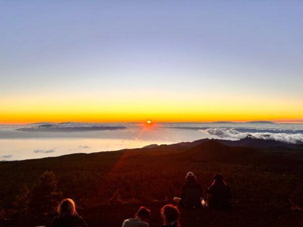 The BEST Santa Cruz De Tenerife Tours and Things to Do in  - FREE Cancellation - The Sum Up