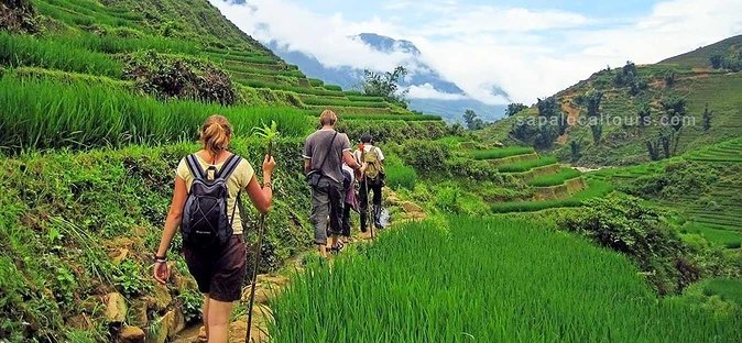 The Best Sapa Tour 2D1N at 3 Star Hotel by Sleeping BUS TRANSFER - Booking and Pricing Information