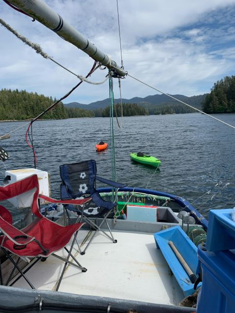 The BEST Sitka Tours and Things to Do - Wildlife Encounters in Sitka
